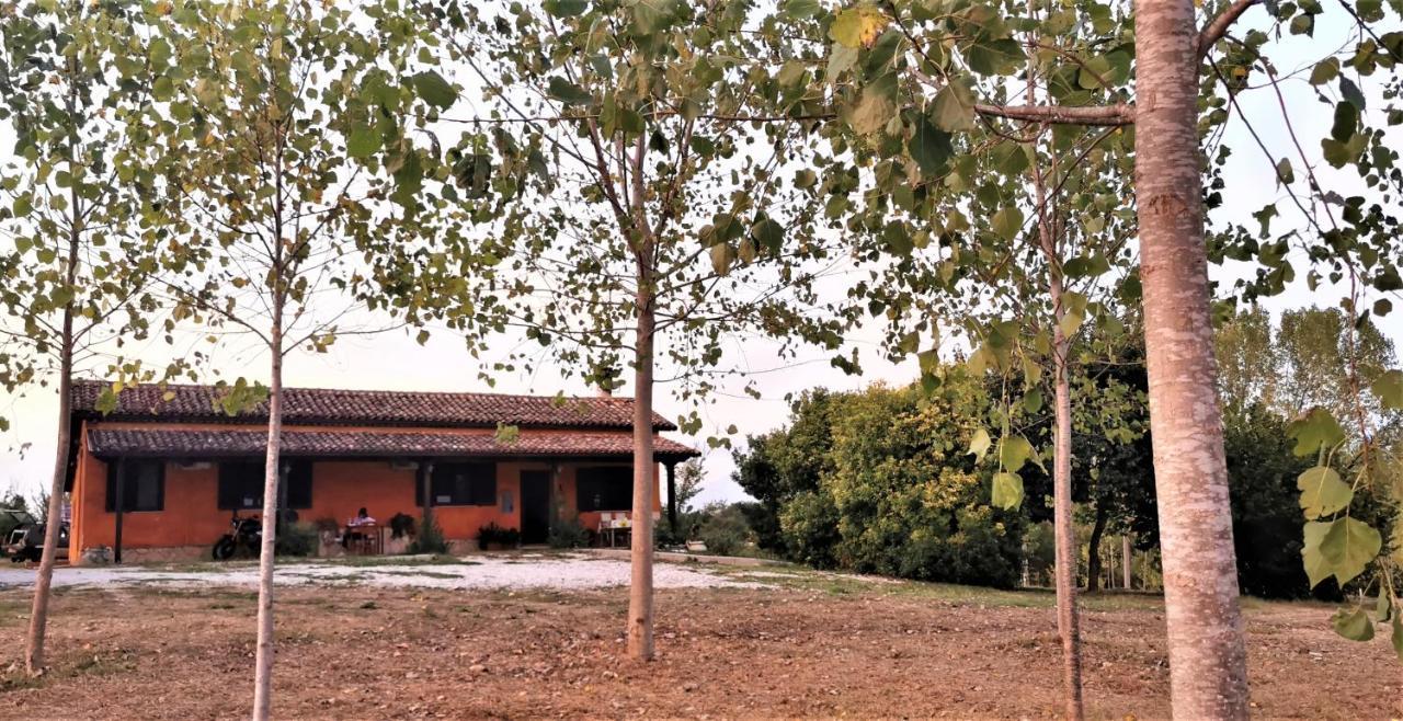 Il Girasole B&B Ceprano Exteriér fotografie